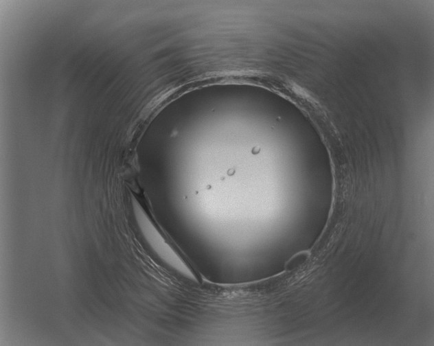 X0000052941169200507300010