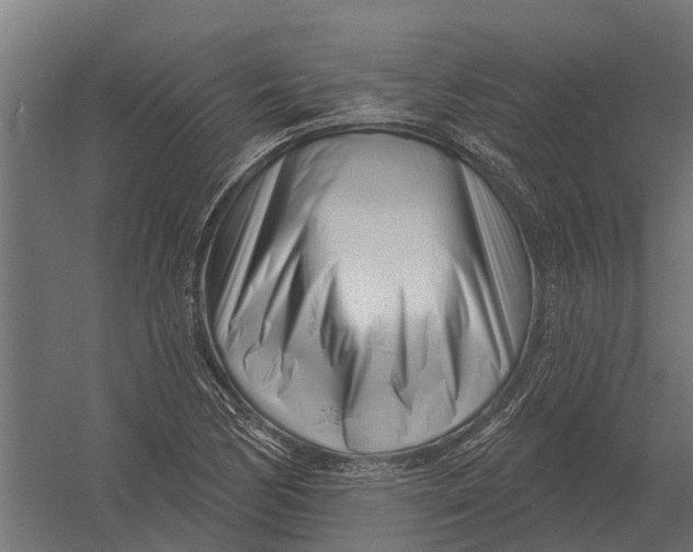 X0000052941170200507300010