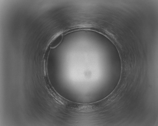 X0000052941171200507300010