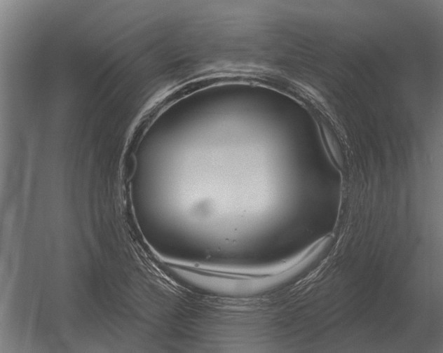 X0000052941172200507300010