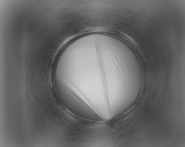 X0000052941174200507300010