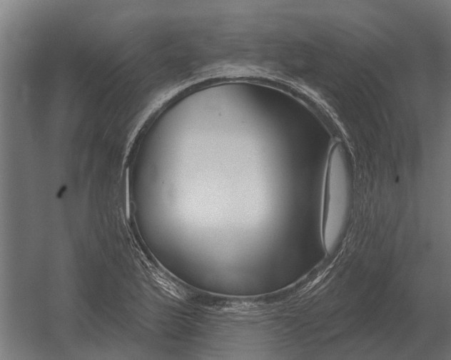 X0000052941175200507300010