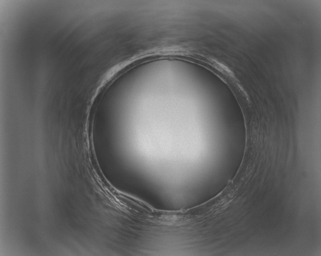 X0000052941176200507300010