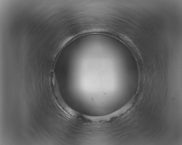 X0000052941177200507300010