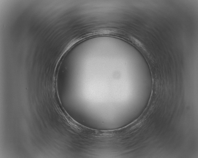 X0000052941178200507300010