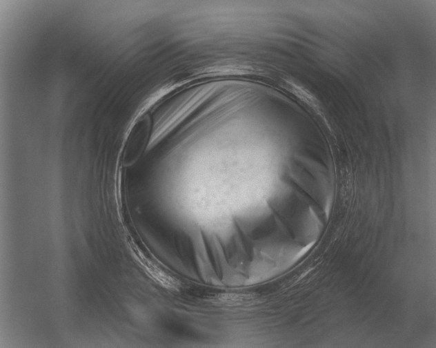 X0000052941179200507300010