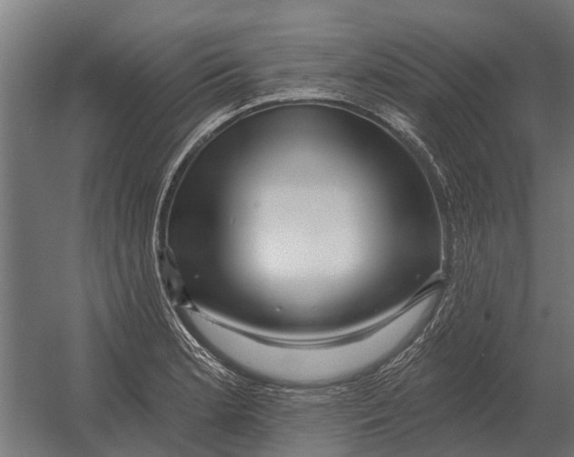 X0000052941181200507300010