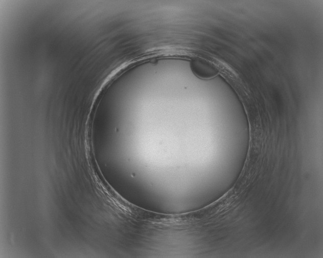 X0000052941182200507300010