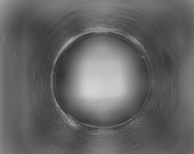 X0000052941183200507300010