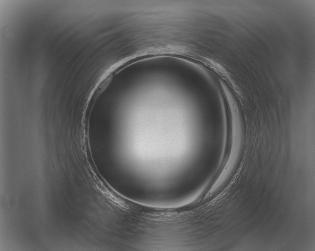 X0000052941184200507300010