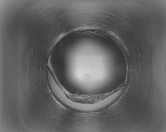 X0000052941185200507300010