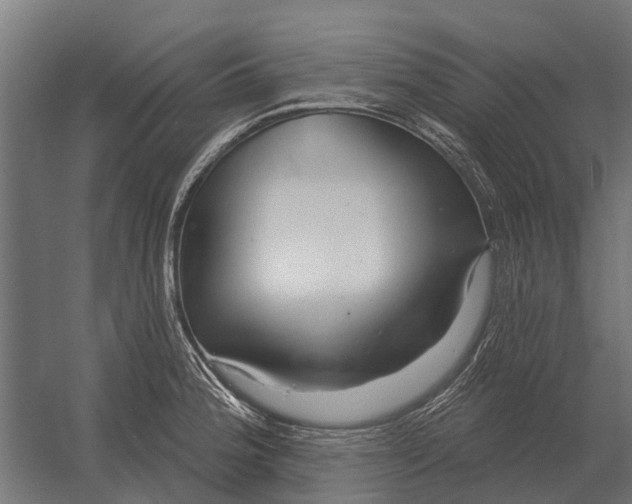 X0000052941188200507300010