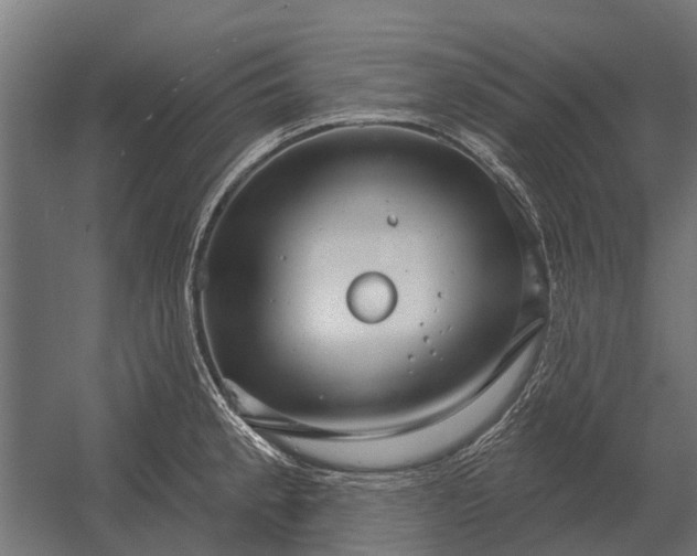 X0000052941189200507300010