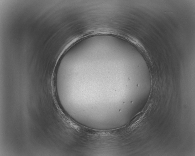 X0000052941190200507300010