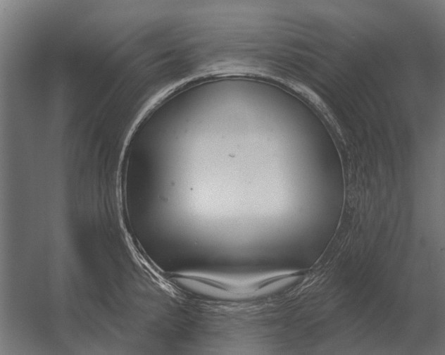 X0000052941191200507300010