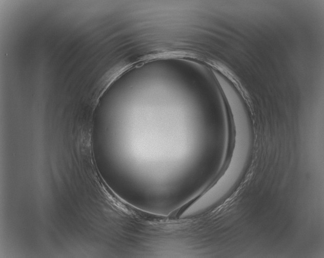 X0000052941193200507300010