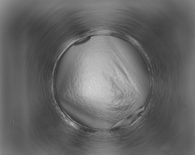 X0000052941194200507300010