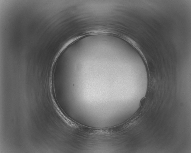 X0000052941195200507300010