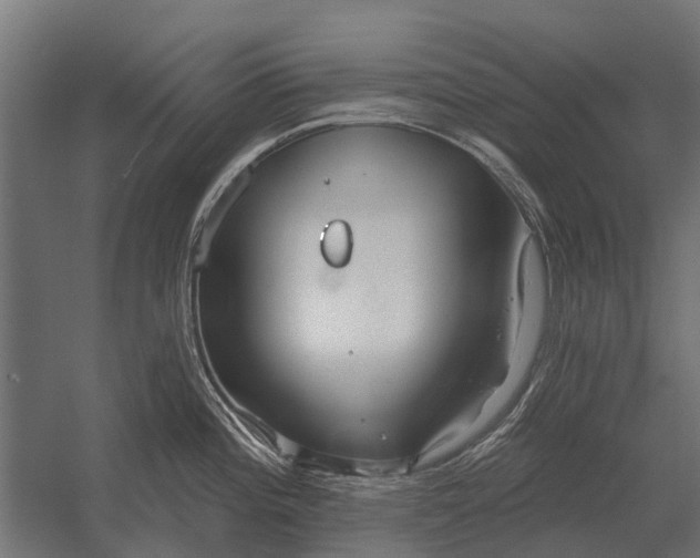 X0000052941196200507300010