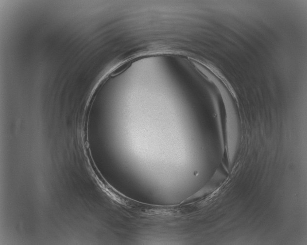 X0000052941197200507300010