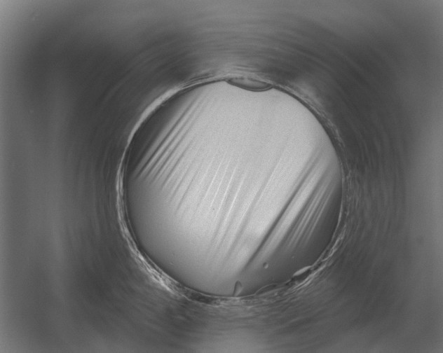 X0000052941198200507300010