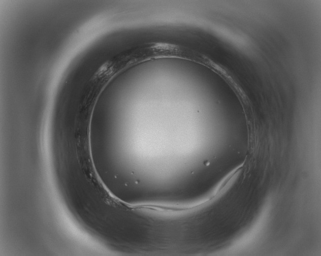 X0000052941199200507300010