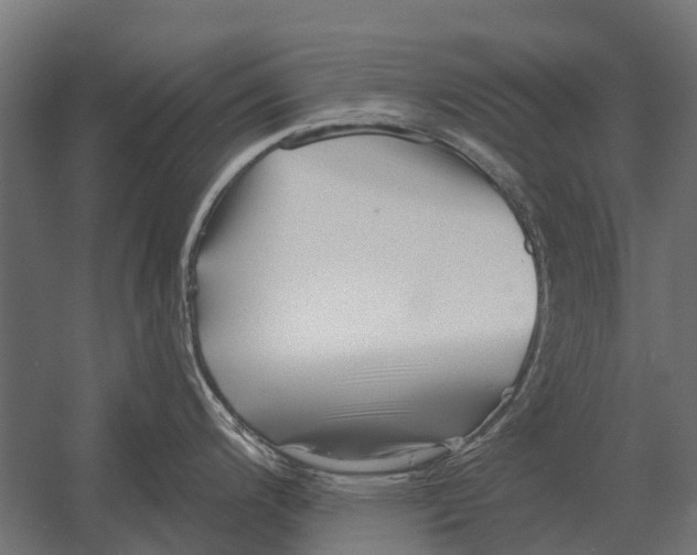 X0000052941200200507300010