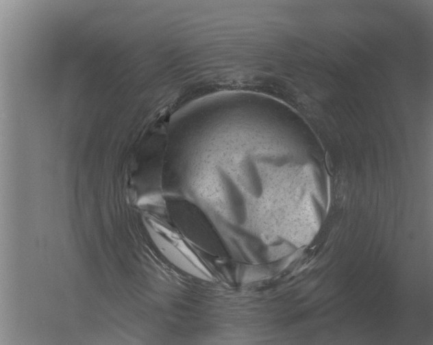 X0000052941202200507300009