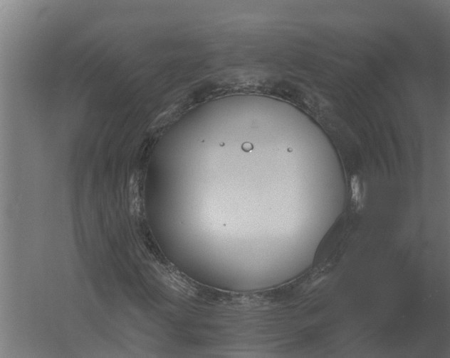 X0000052941203200507300009