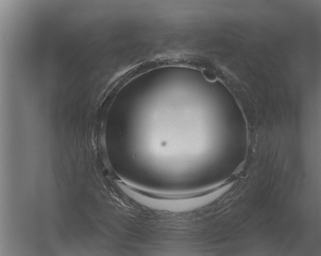 X0000052941206200507300009