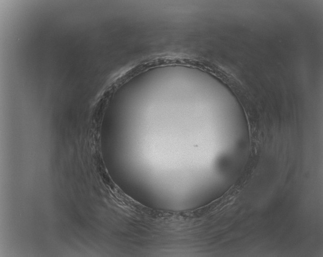 X0000052941207200507300009