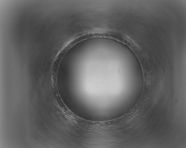 X0000052941208200507300009