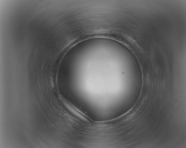 X0000052941209200507300009