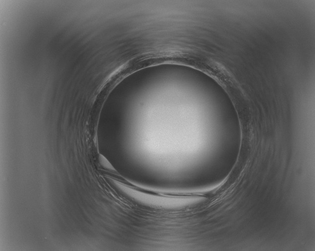 X0000052941210200507300009