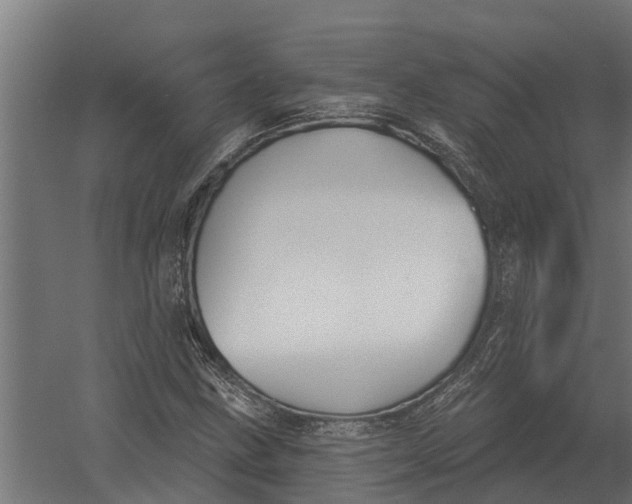 X0000052941211200507300009