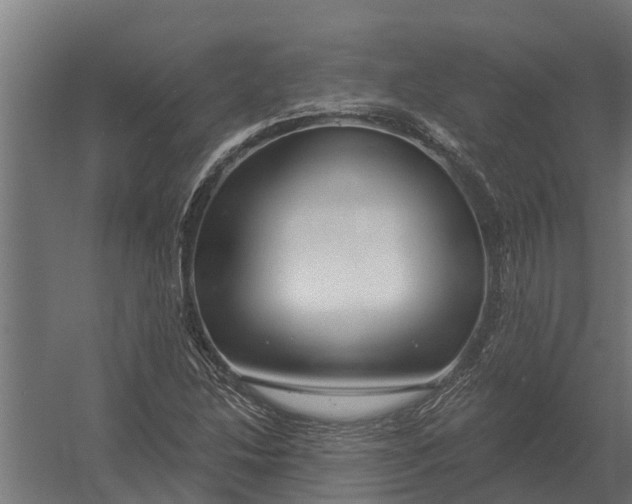 X0000052941214200507300009