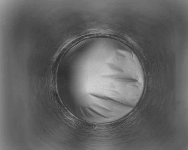 X0000052941215200507300009