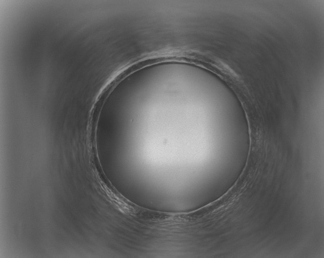 X0000052941216200507300009