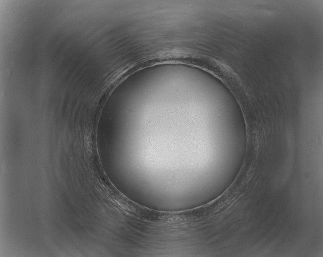 X0000052941217200507300009