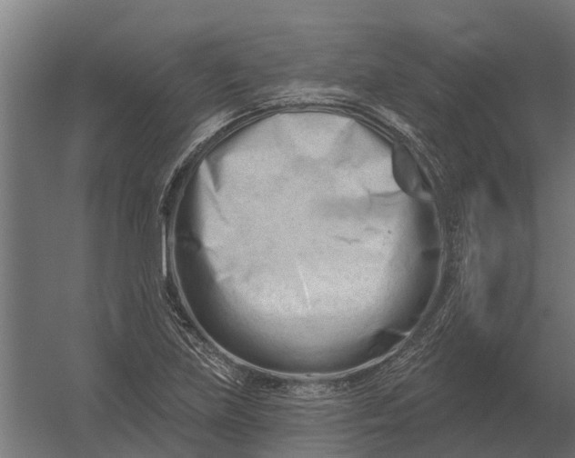 X0000052941219200507300009