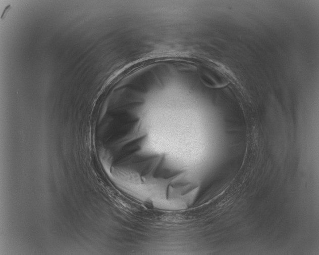 X0000052941220200507300009