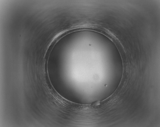 X0000052941222200507300009