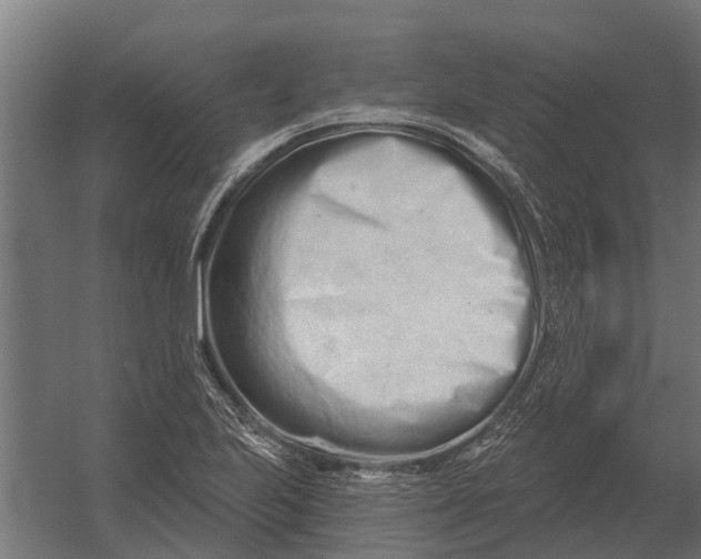 X0000052941223200507300009