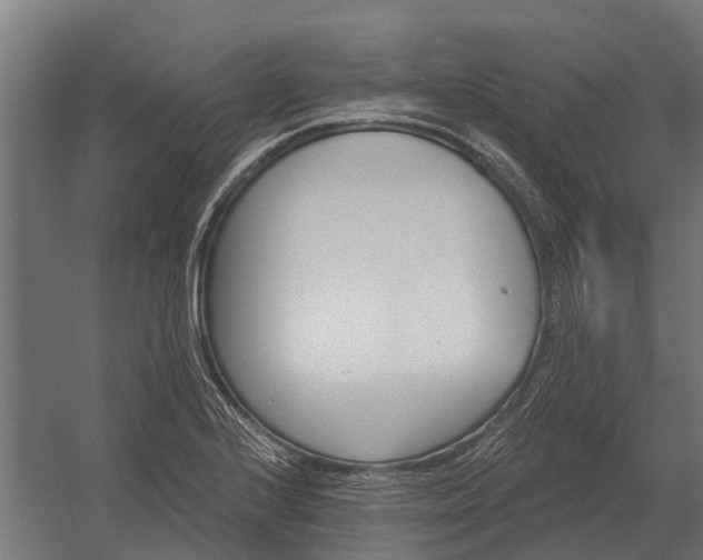 X0000052941224200507300009