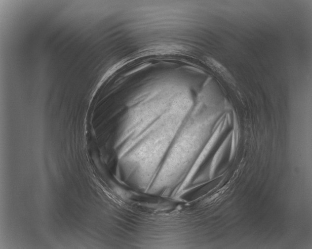 X0000052941226200507300009