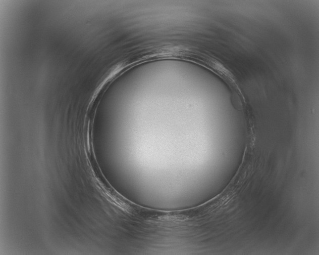 X0000052941227200507300010