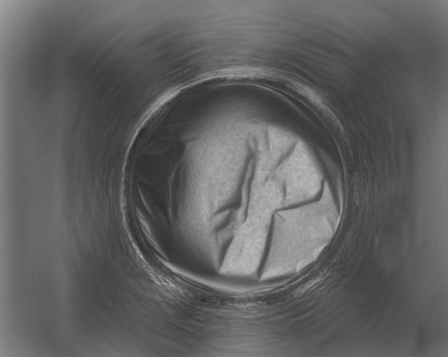 X0000052941229200507300010