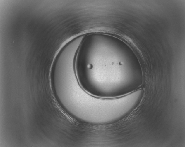 X0000052941230200507300010