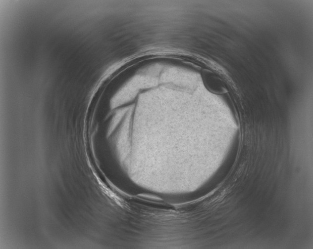 X0000052941231200507300010