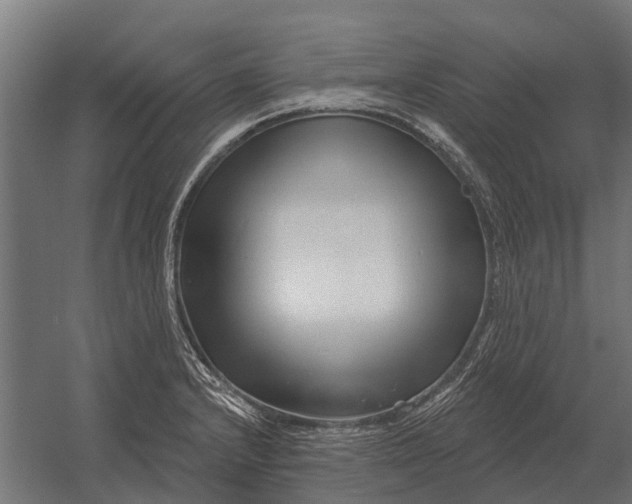 X0000052941232200507300010